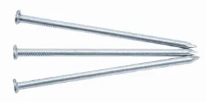 100mm Galvanised Round Wire Nails 20kg Carton
