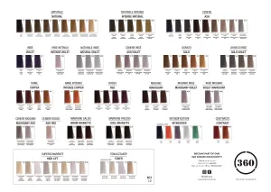 360 Professional Haircolor 100ml – High lifts and Toners