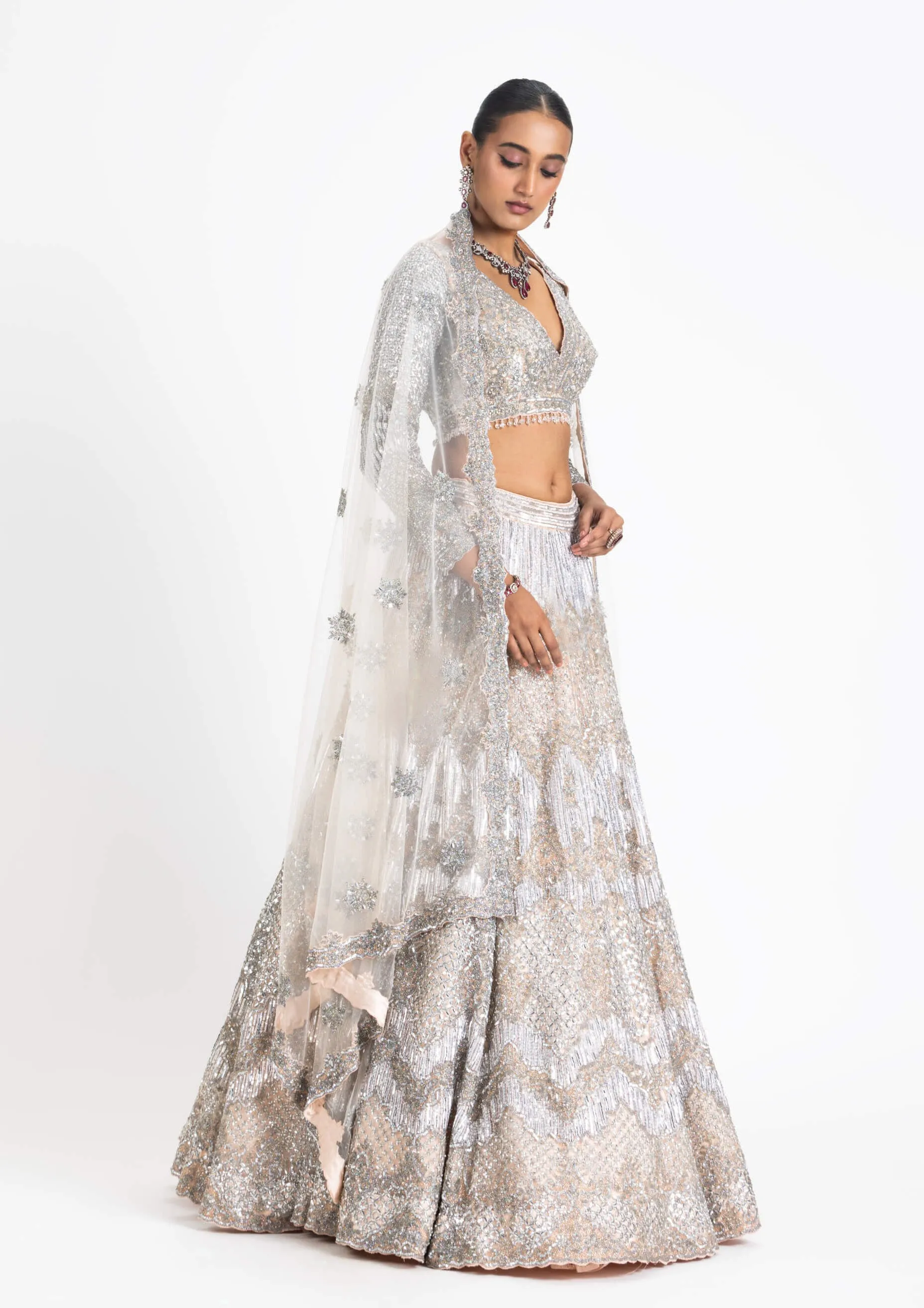 Blush net embroidered lehenga set