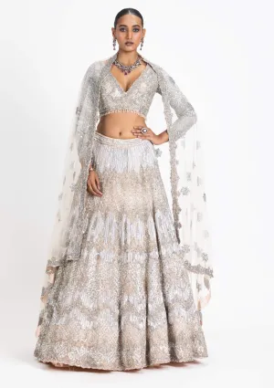 Blush net embroidered lehenga set