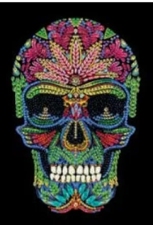 CANJ-4  Notebook : Skull