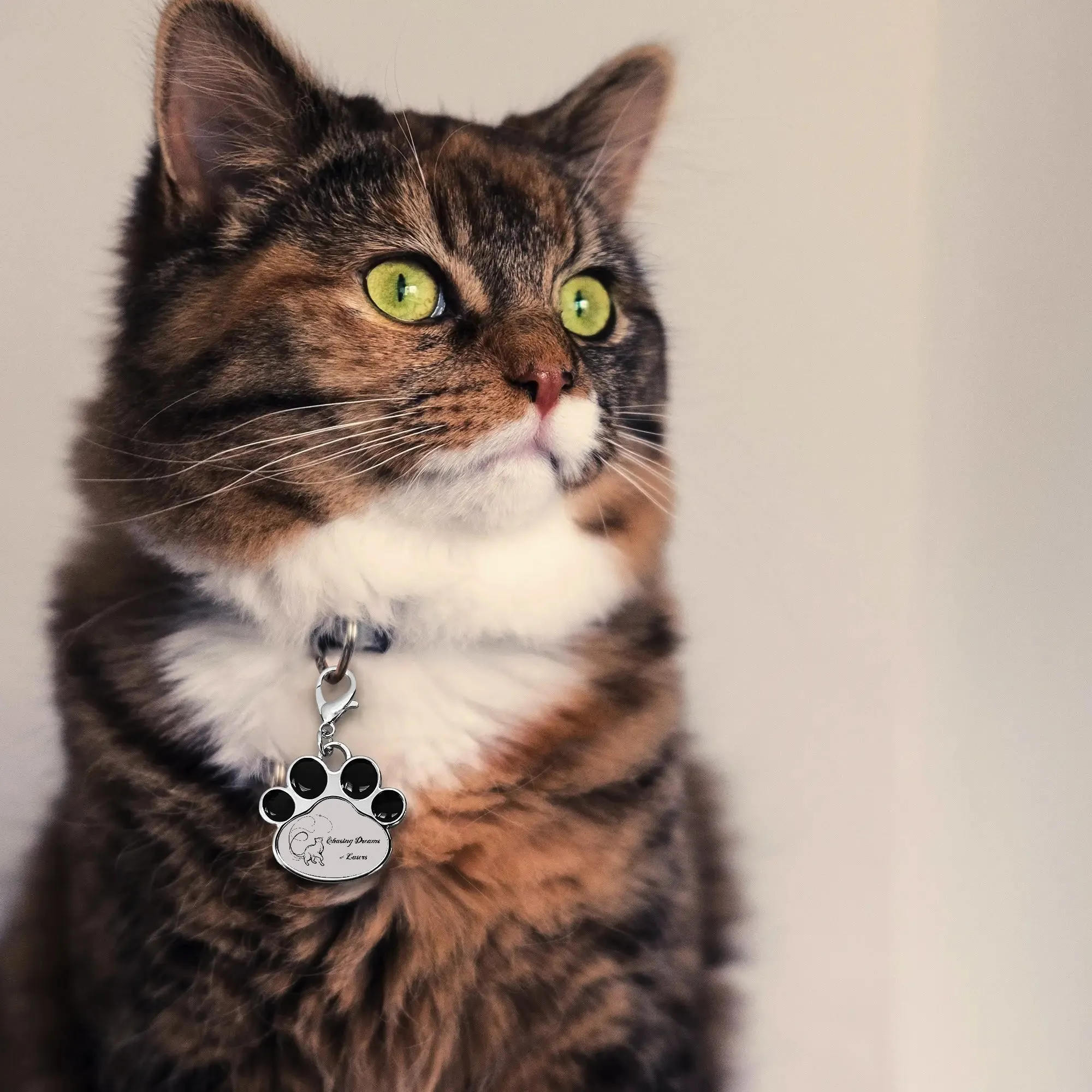 Chasing Dreams & Lasers Typographical Art Printed Paw Shaped Pet Tag
