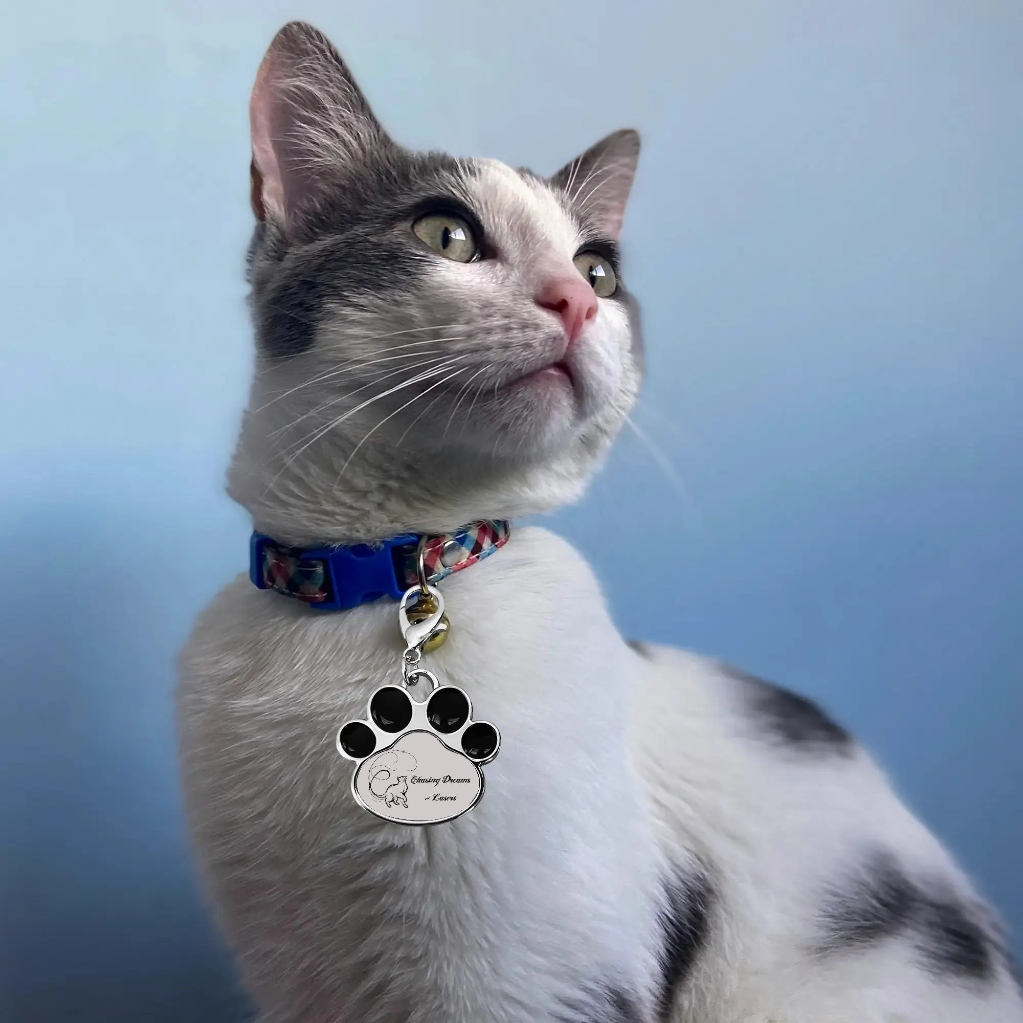 Chasing Dreams & Lasers Typographical Art Printed Paw Shaped Pet Tag