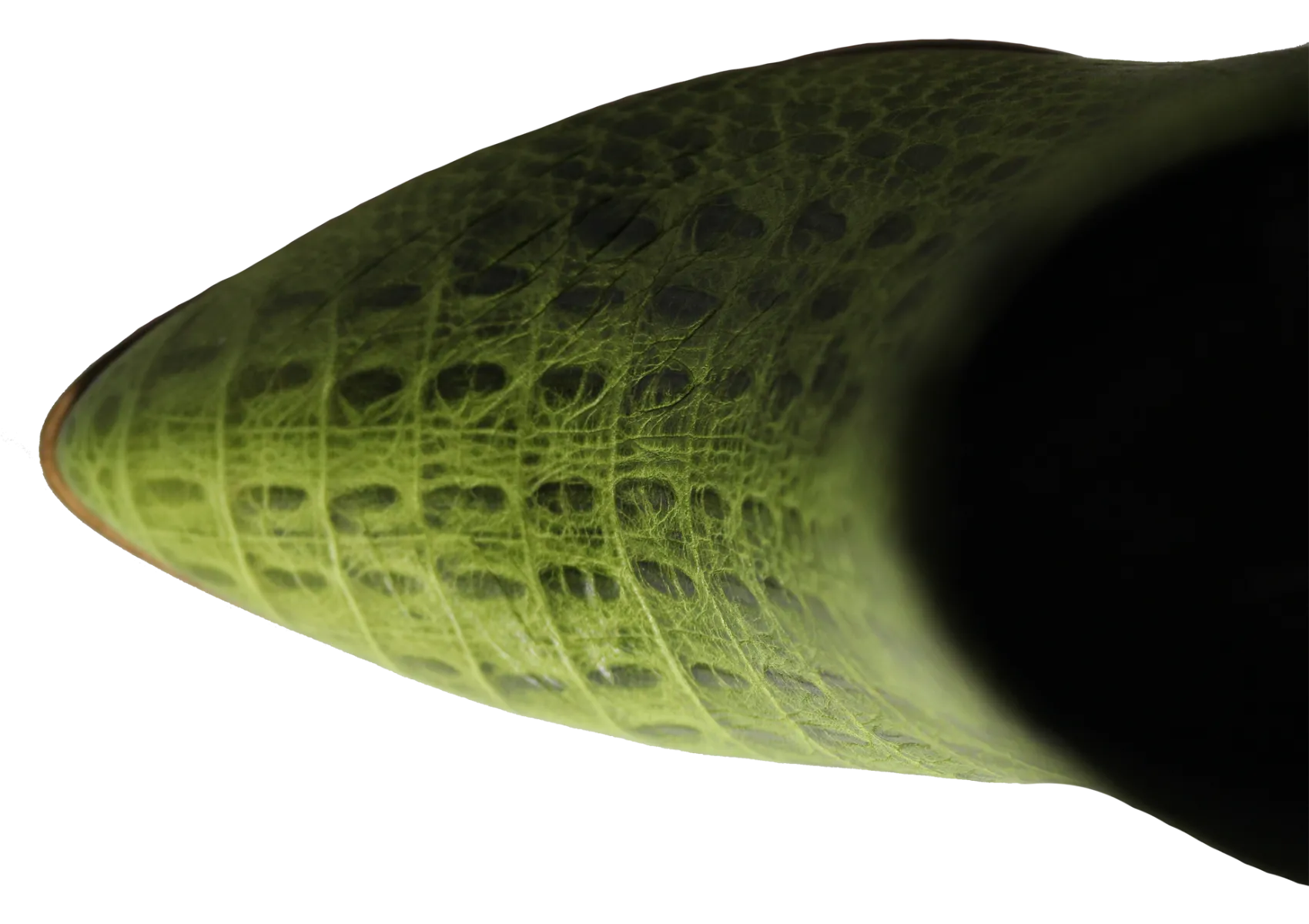 Crocalinda