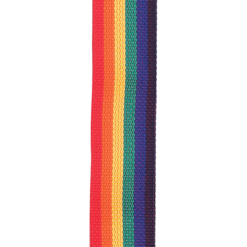 D'Addario PWS111 Polypropylene Guitar Strap, Rainbow