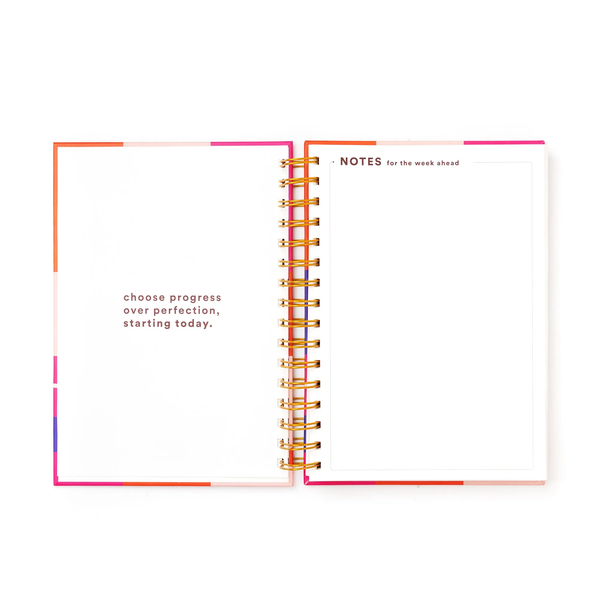 Daily Planner / Anxious But Fabulous
