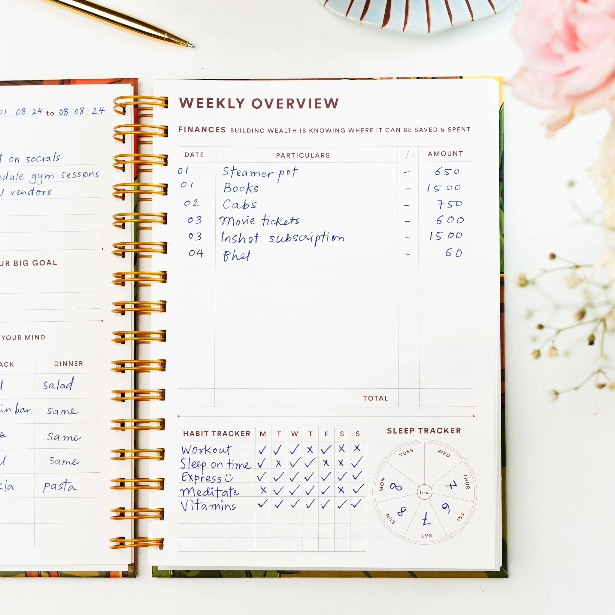 Daily Planner / Anxious But Fabulous