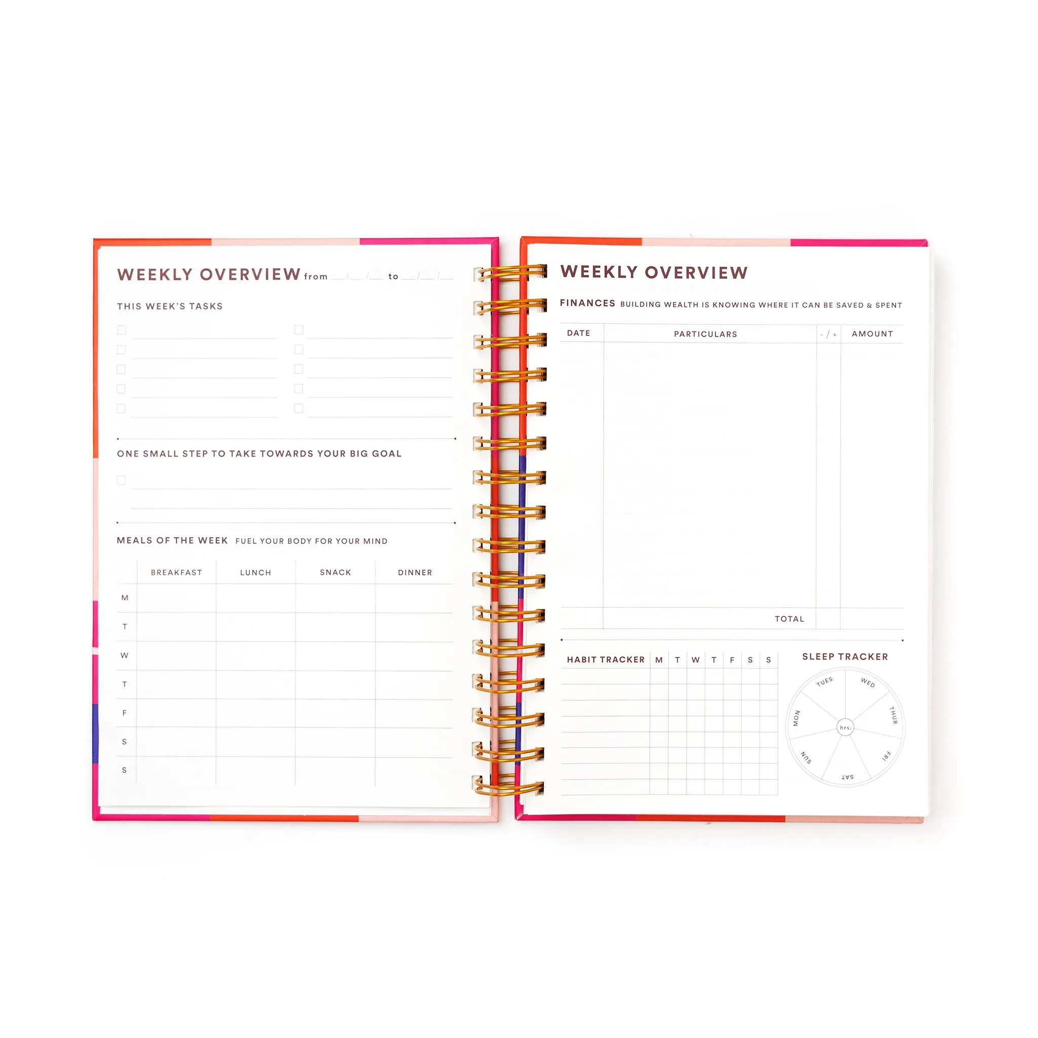 Daily Planner / Anxious But Fabulous