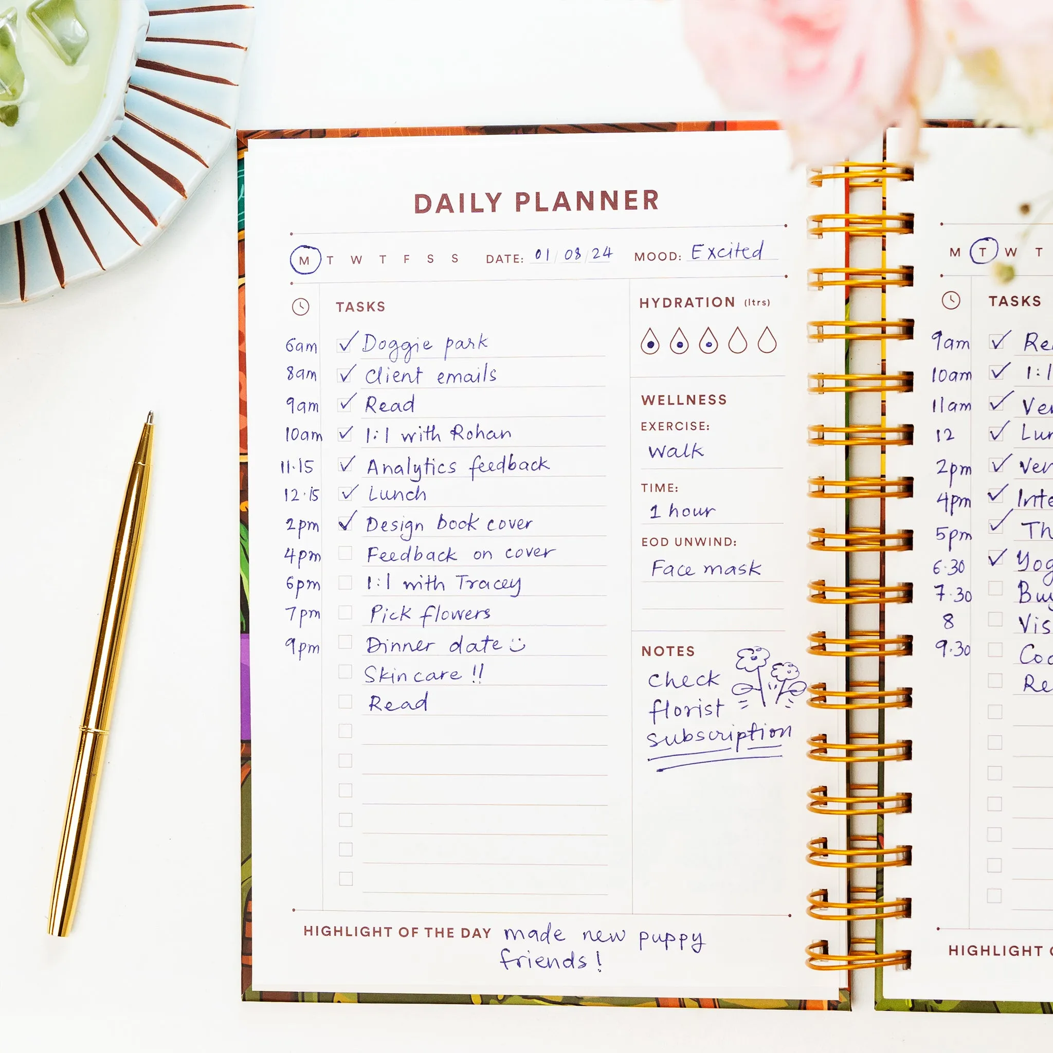 Daily Planner / Anxious But Fabulous