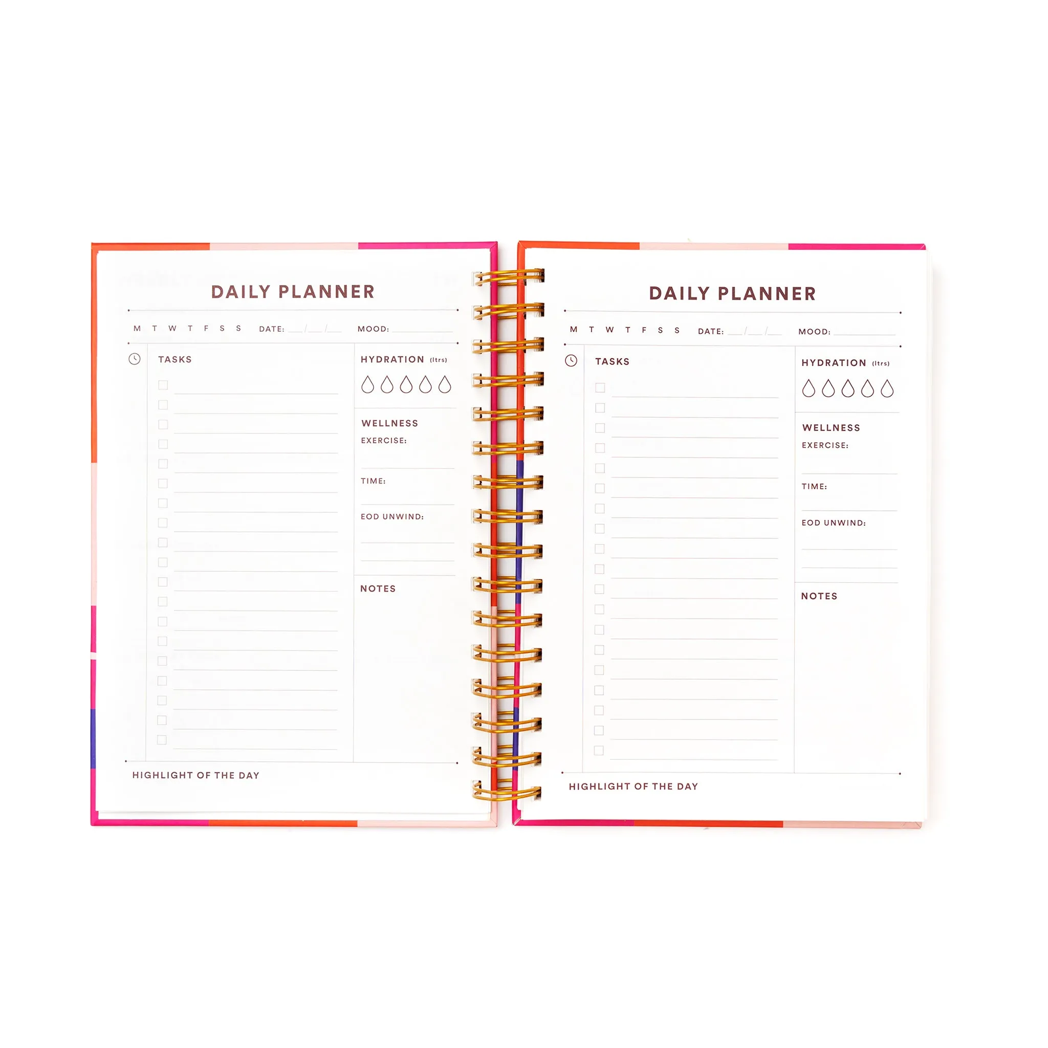 Daily Planner / Anxious But Fabulous
