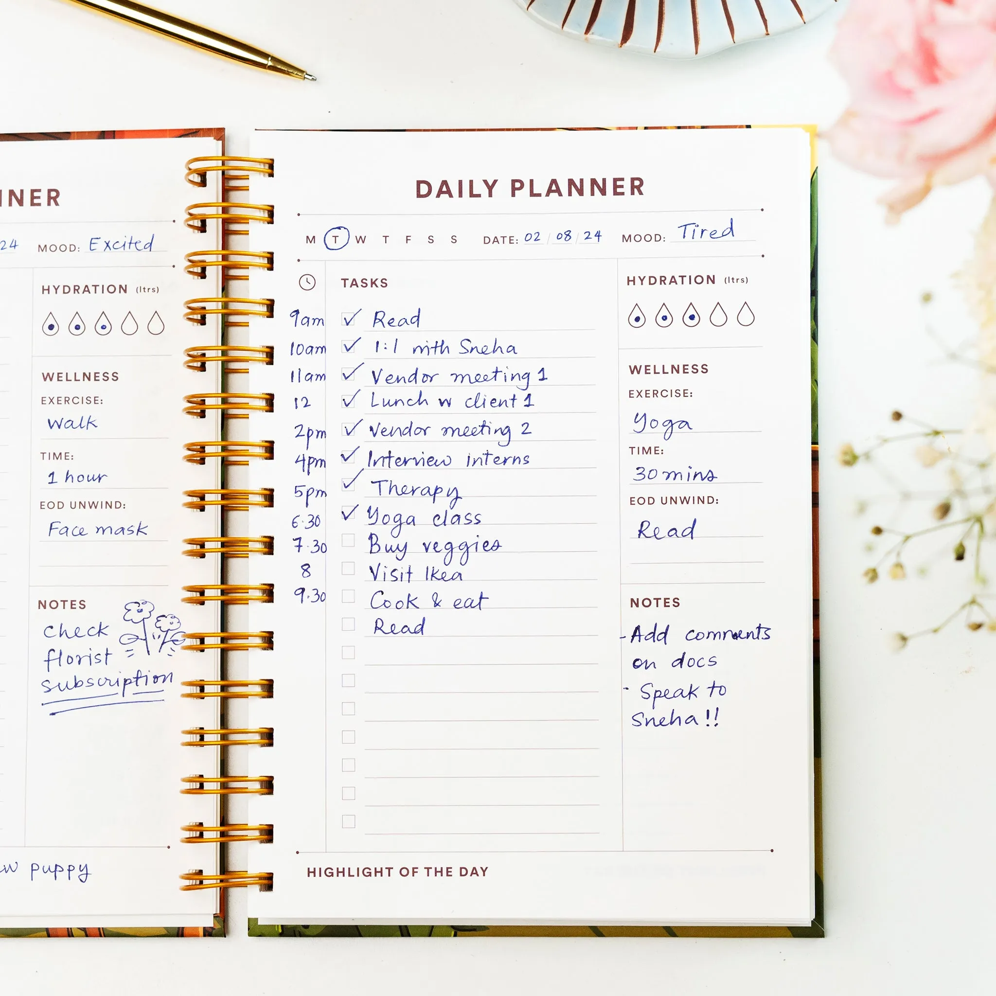 Daily Planner / Anxious But Fabulous