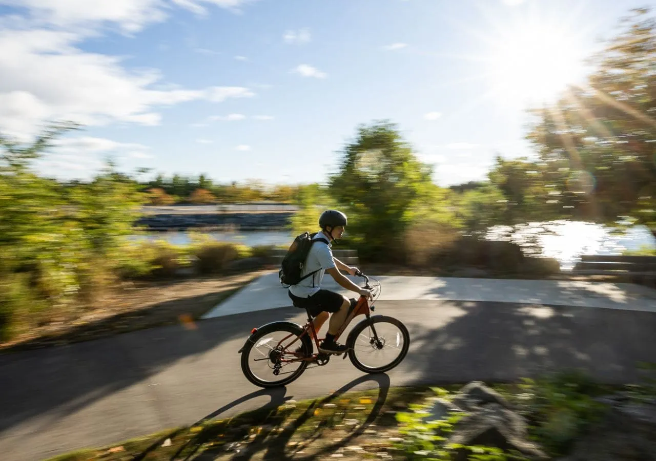 Delta - Electric Bike (27.5")