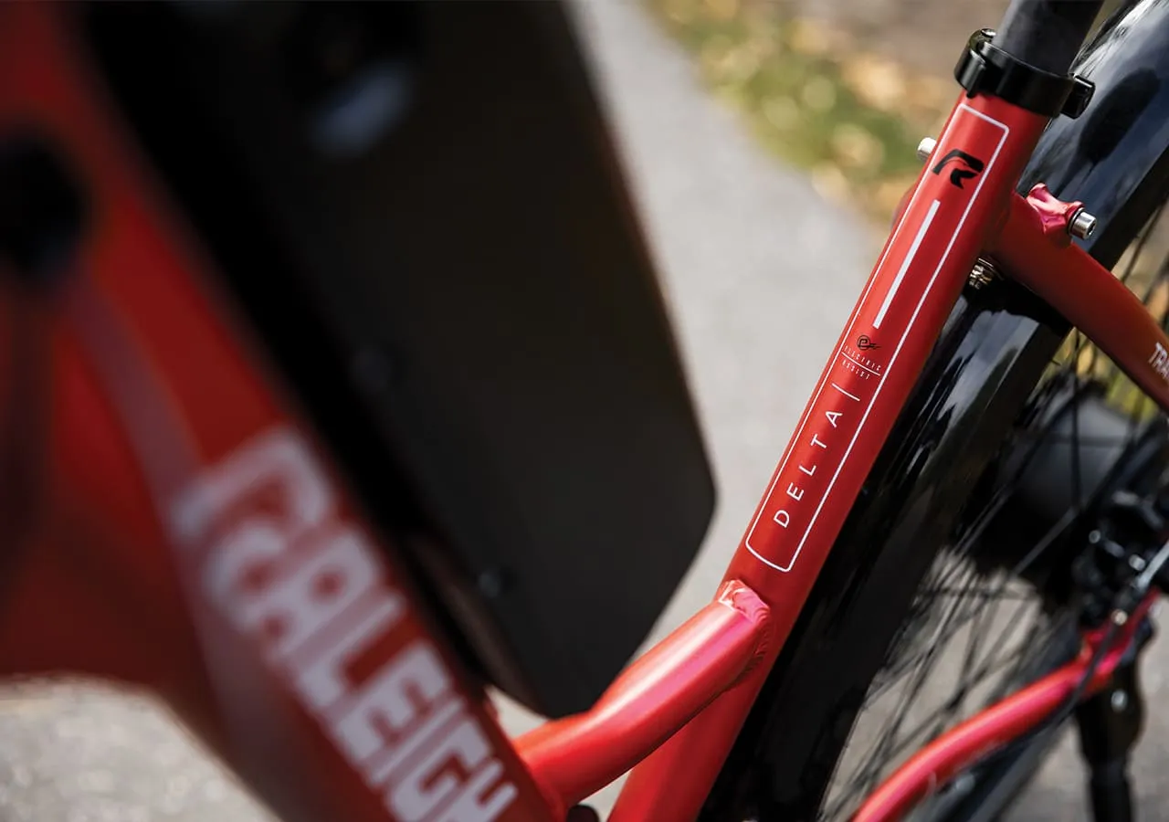 Delta - Electric Bike (27.5")