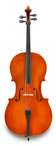 DEMO Samuel Eastman VC80 4/4 Cello