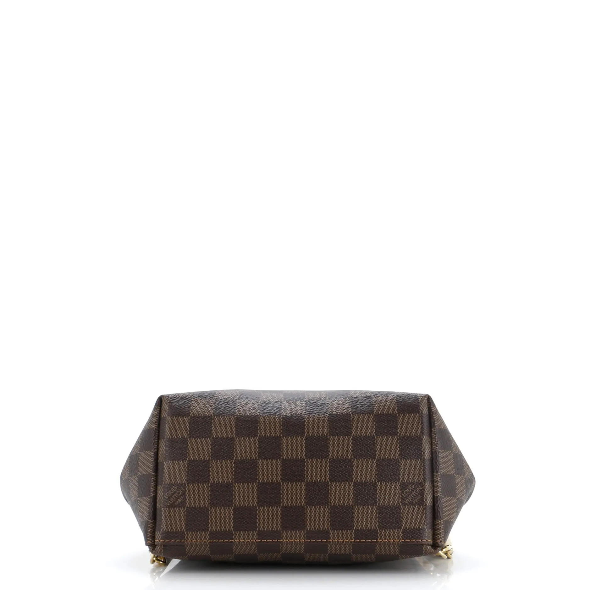 Designer Clapton Backpack Damier and Leather