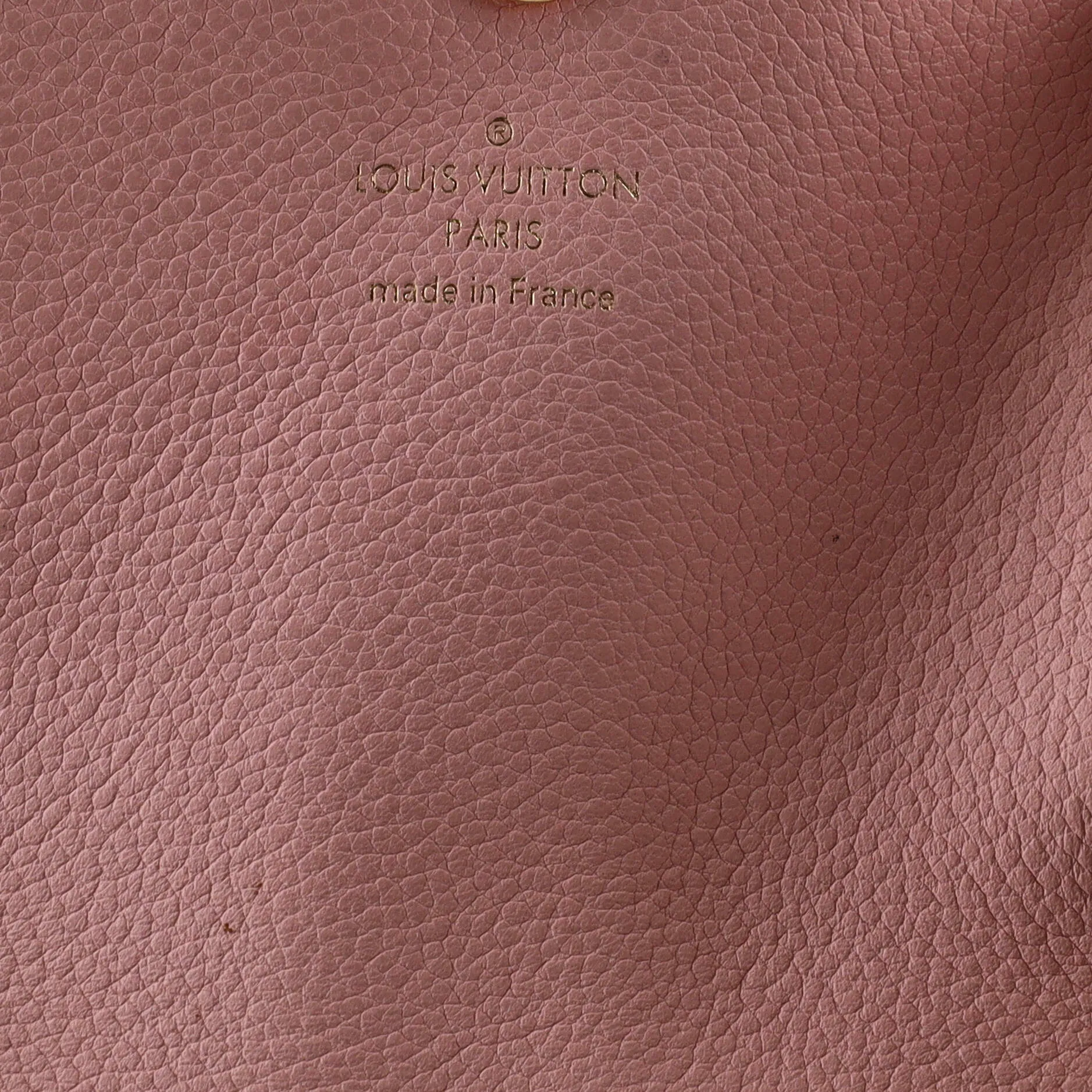 Designer Clapton Backpack Damier and Leather
