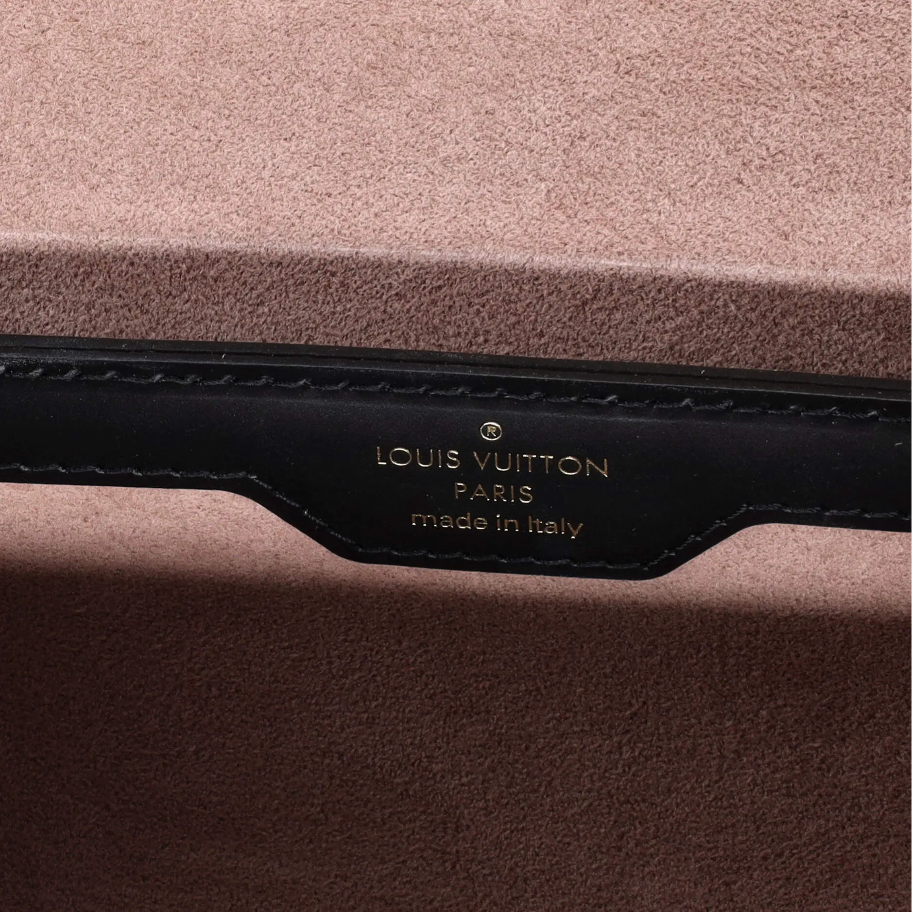 Designer Papillon Trunk Bag Epi Leather