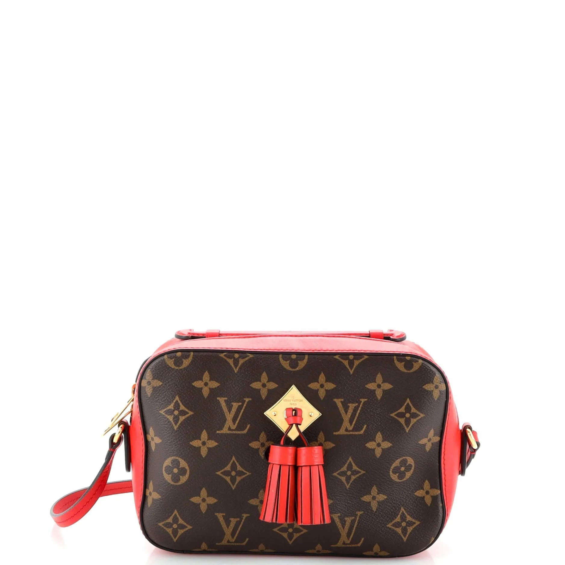 Designer Saintonge Handbag Monogram Canvas with Leather
