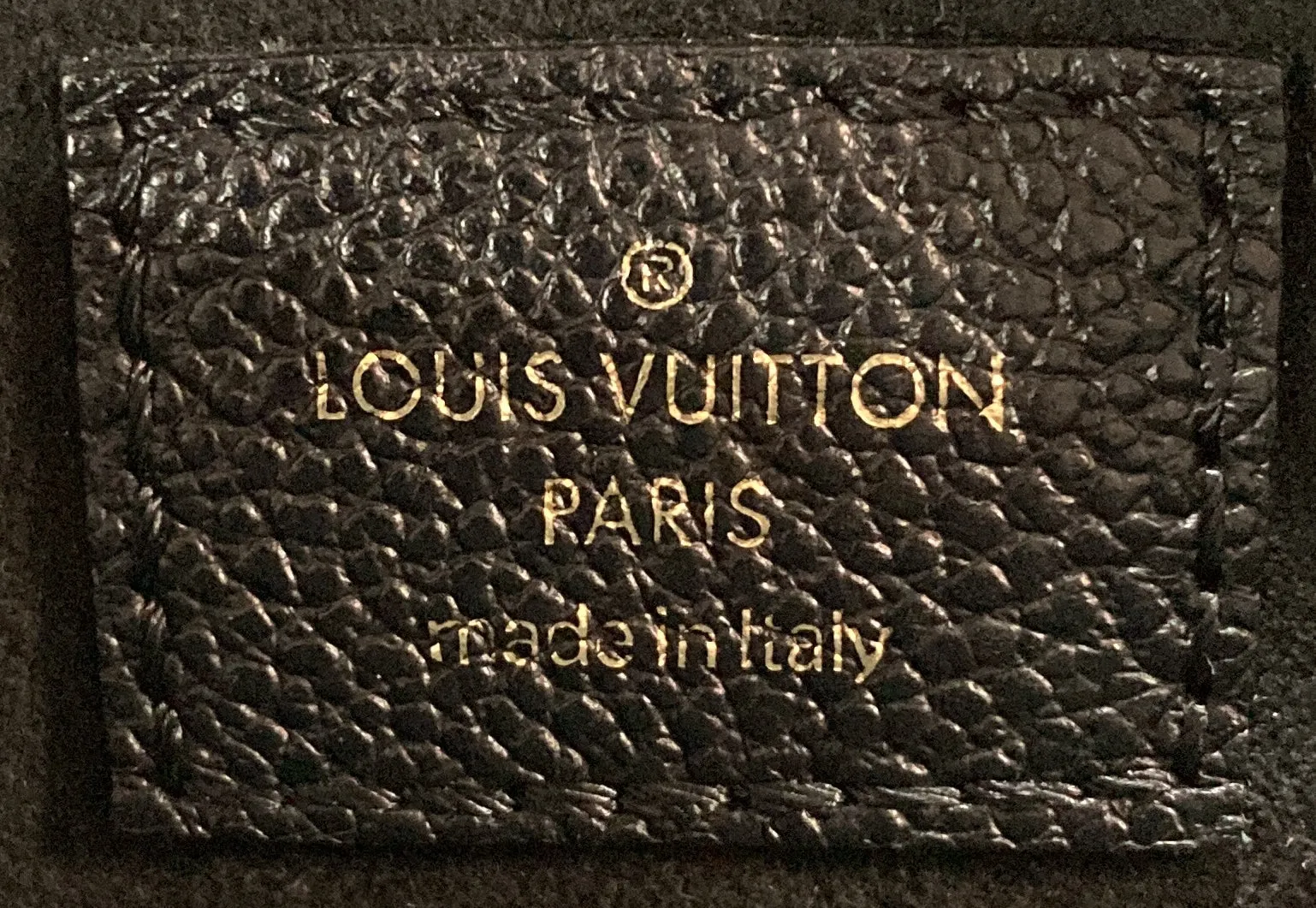Designer Vavin Handbag Monogram Empreinte Leather PM