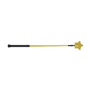 HySCHOOL Gold Star Horse Riding Whip