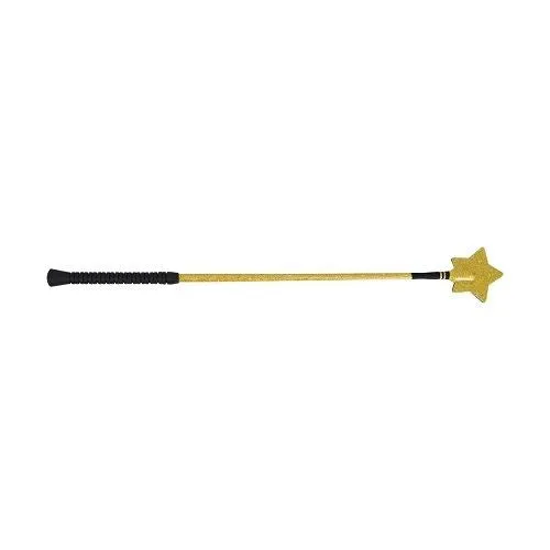 HySCHOOL Gold Star Horse Riding Whip