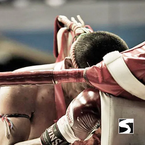 Koh Samui Muay Thai Tickets - next event tickets