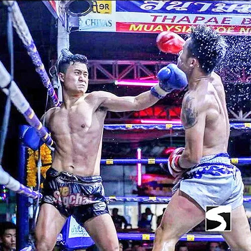 Koh Samui Muay Thai Tickets - next event tickets