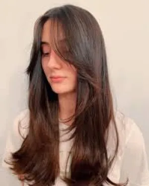 Long Straight Brown Highlight Wig with Bangs