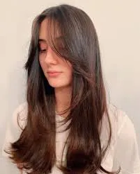 Long Straight Brown Highlight Wig with Bangs