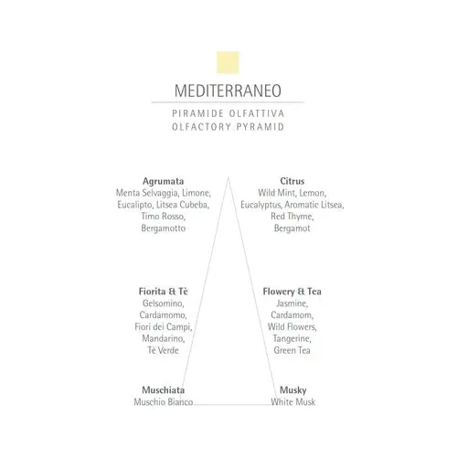 Mediterraneo EDP 100ml