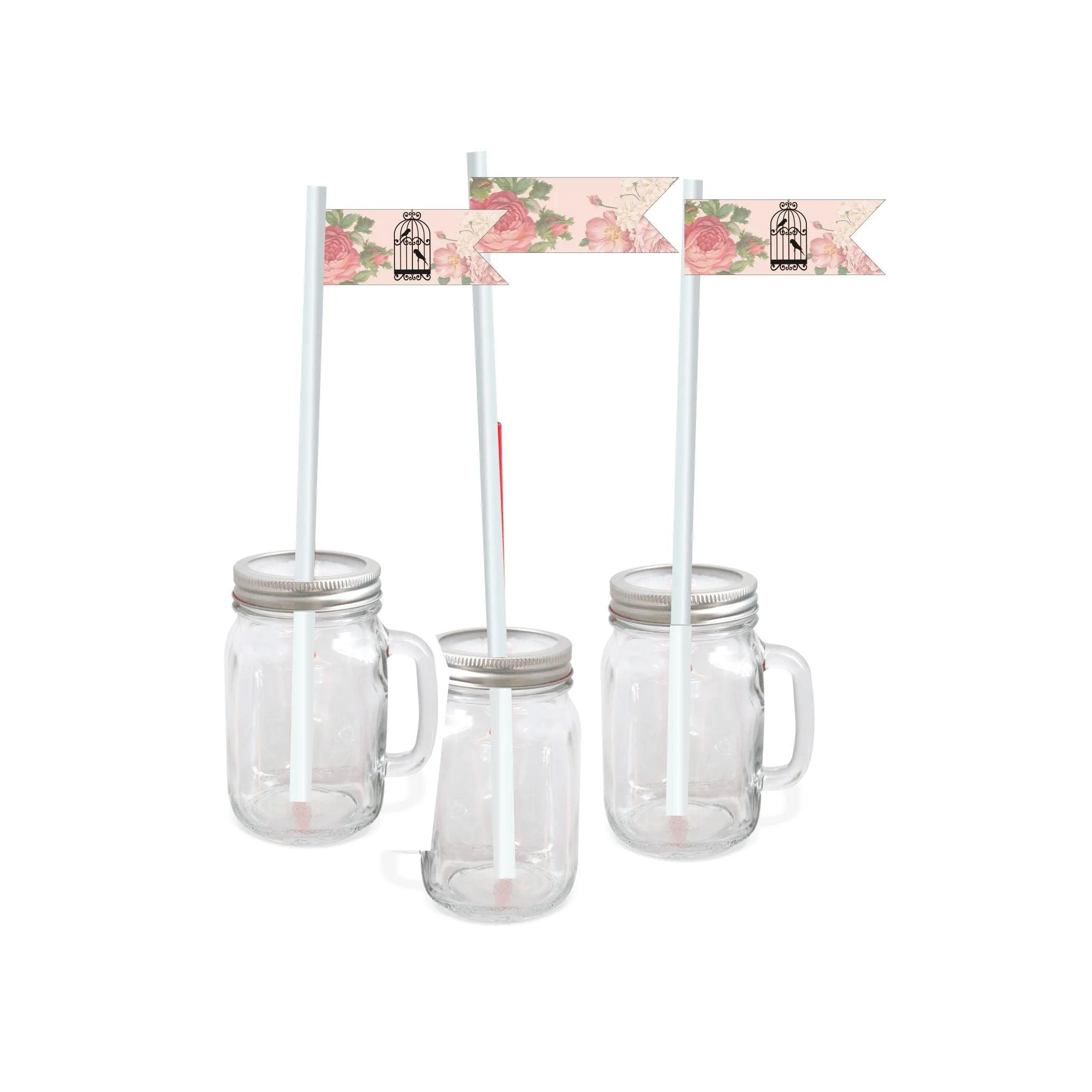 Pink Floral and Bird Cage Drink Straws