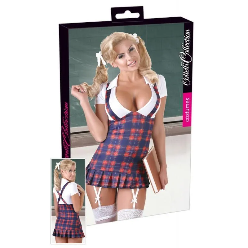 Schoolgirl Costume with Low-Cut Blouse, Pleated Hemline, and Suspender Straps