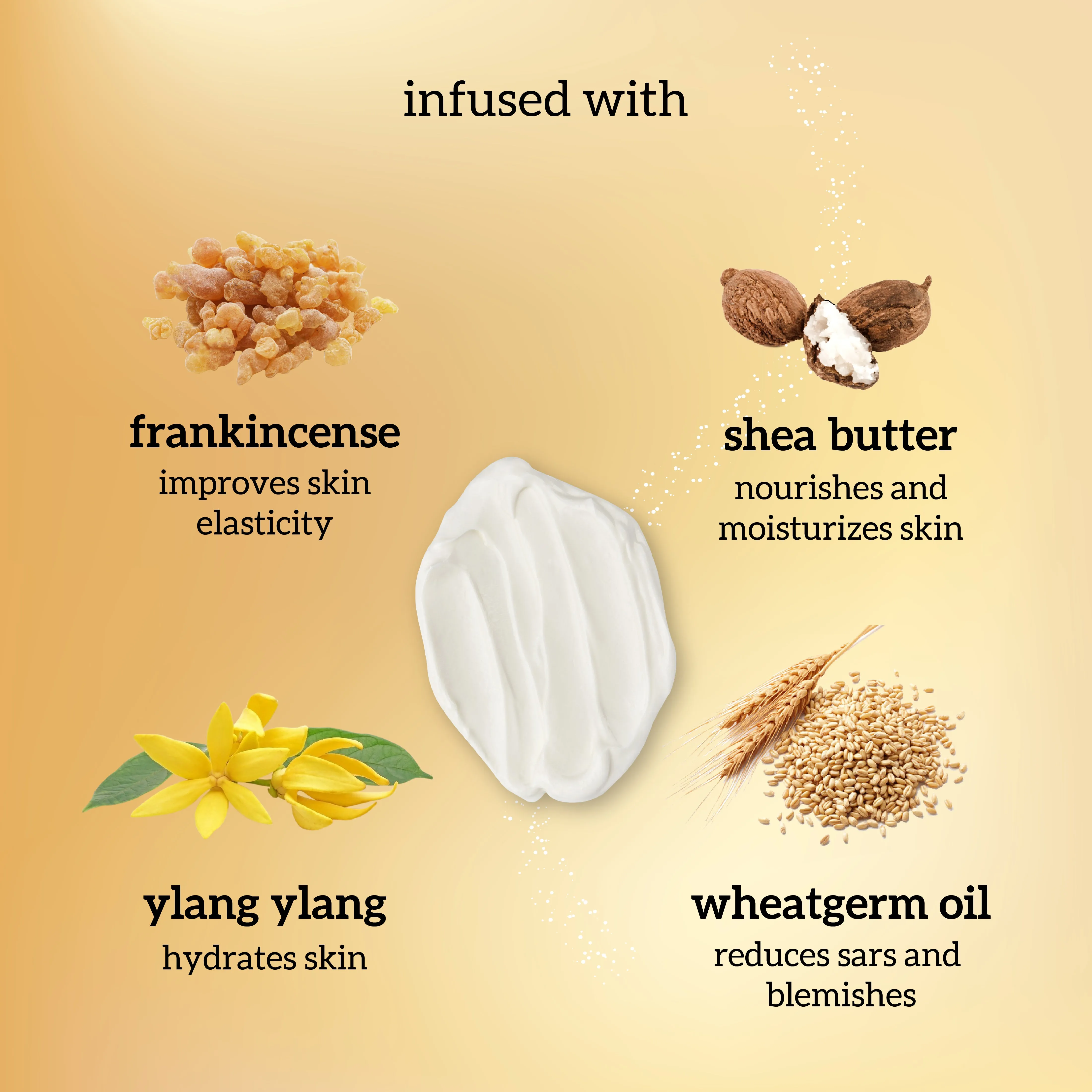 Shea Butter Lotion - Lightweight & Non-Greasy Daily Moisturizer for Face & Body - Kids Safe