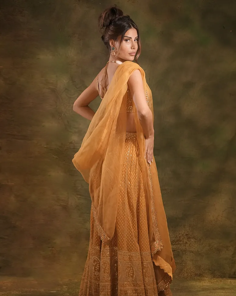 The Mustard Lucknowi Lehenga