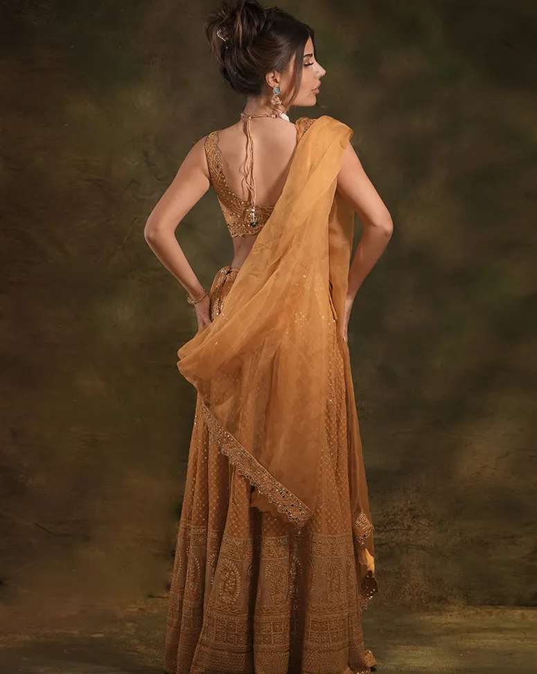 The Mustard Lucknowi Lehenga