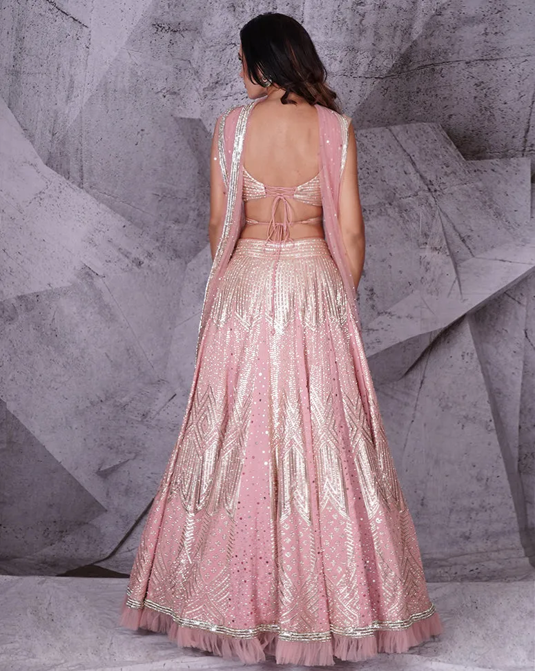The Spree Pink Lehenga
