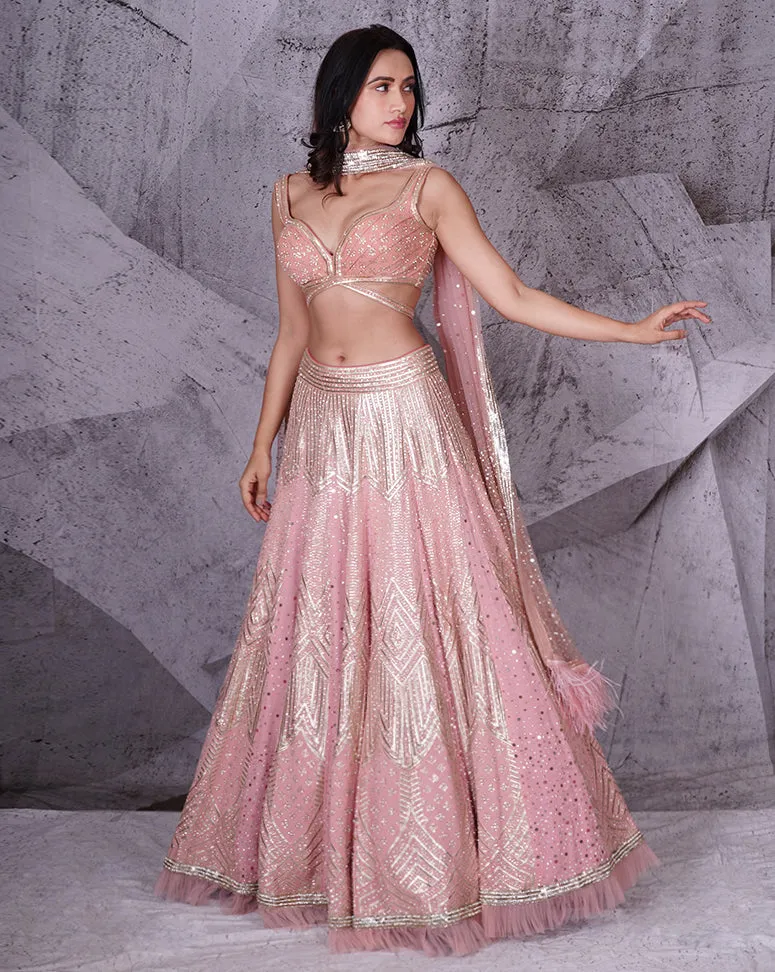 The Spree Pink Lehenga