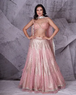 The Spree Pink Lehenga