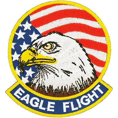 US Military USAF Eagle Flight Patch