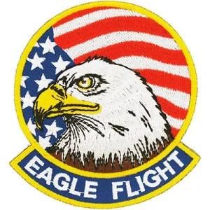 US Military USAF Eagle Flight Patch