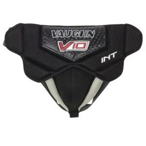 VGC V10 Intermediate Goal Cup
